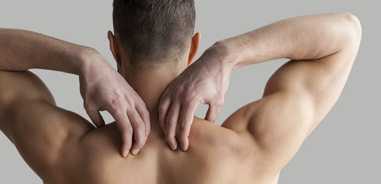 back