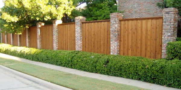 fence