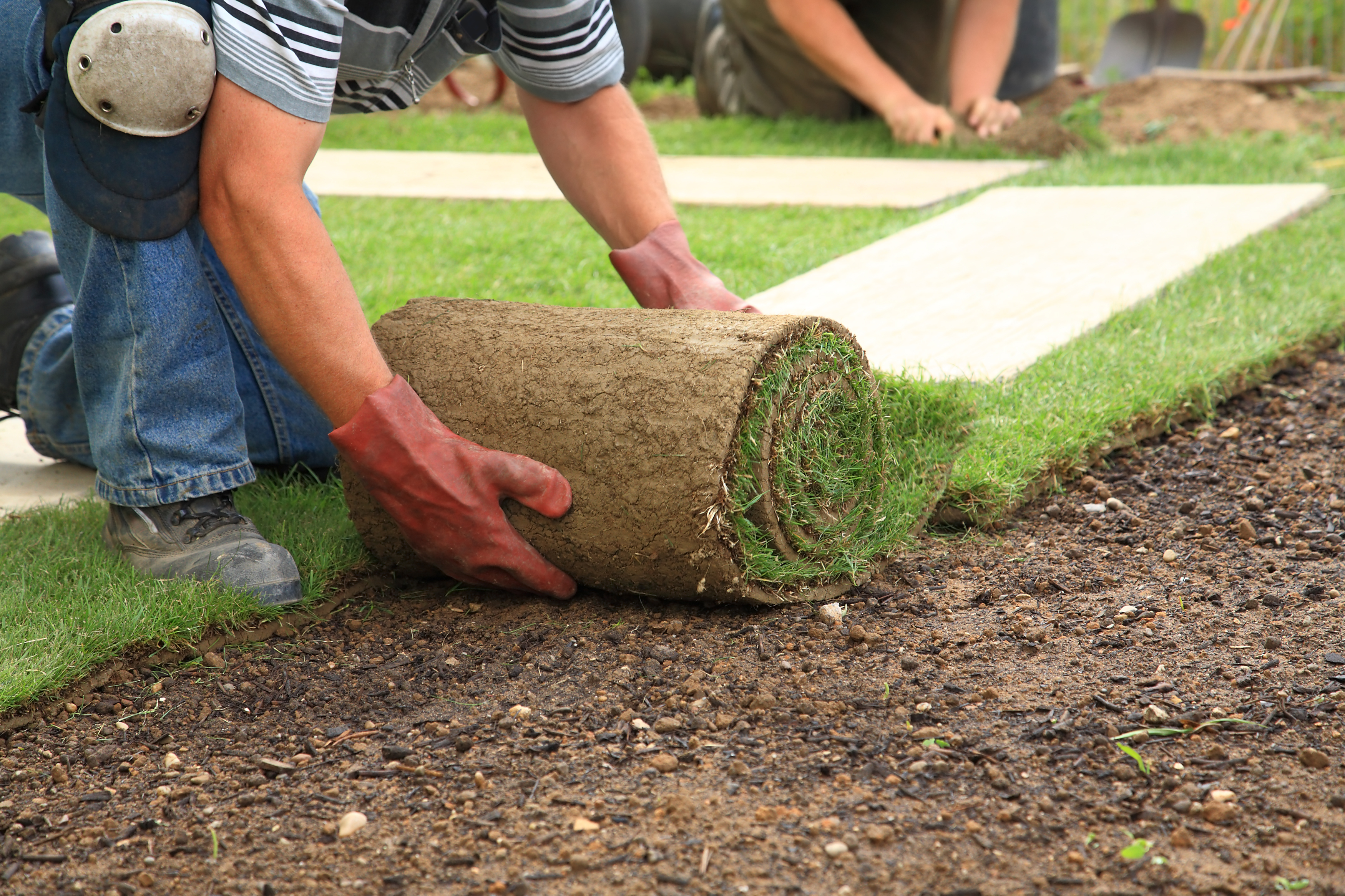 landscapings