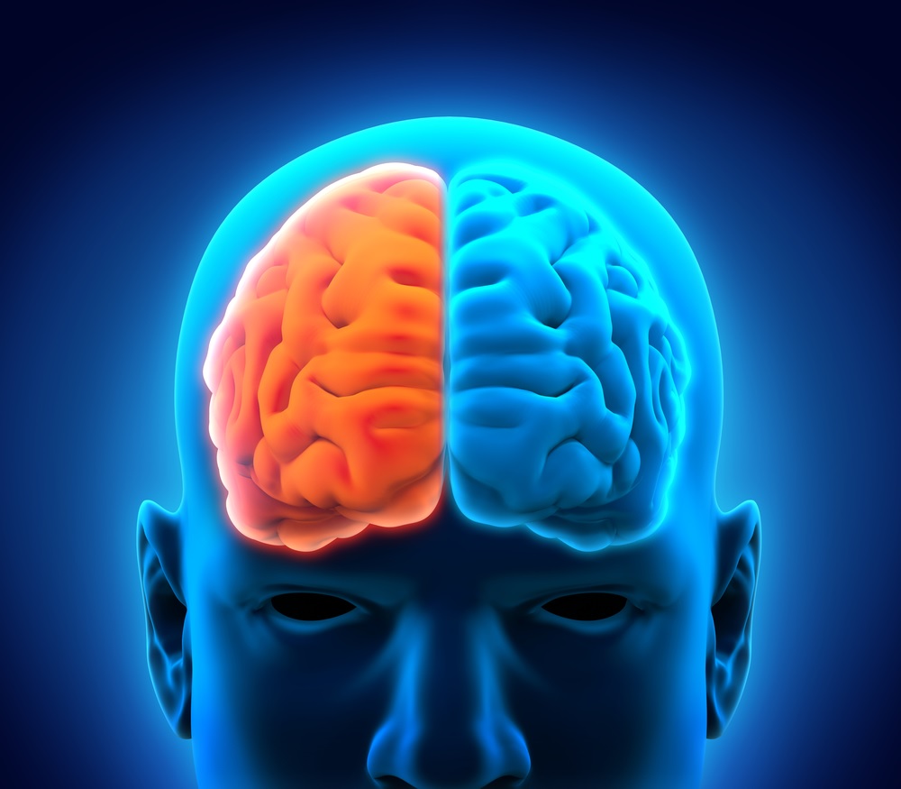 BuddhaTea Reishi Mushroom Tea for Brain Function